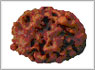 Rudraksha two mukhi